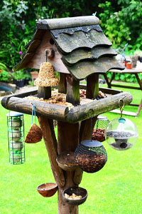 bird house