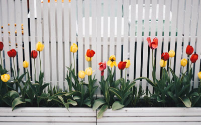 garden-fence